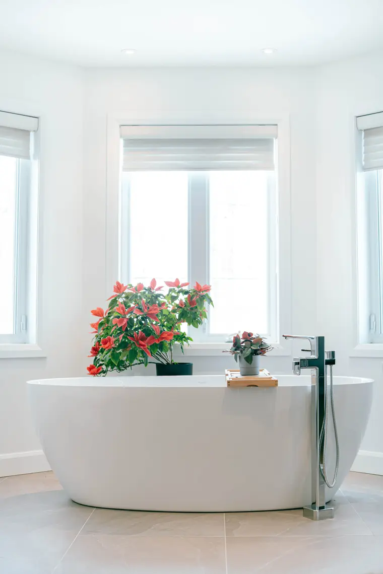 Projet Létourneau — salle de bain des maîtres